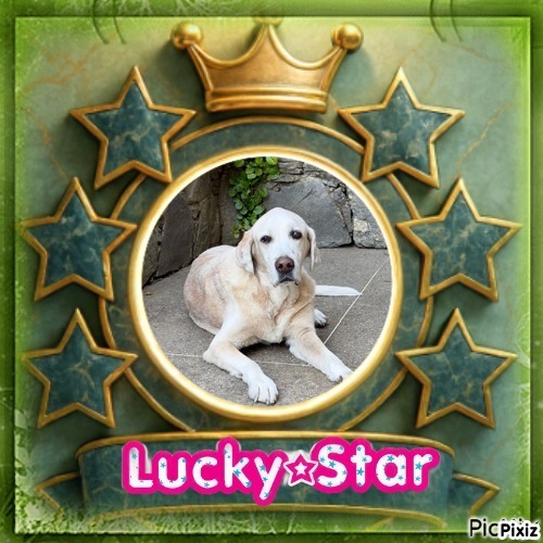 zoza1958 uploaded   82  day/s  ago