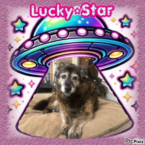 zoza1958 uploaded   42  day/s  ago