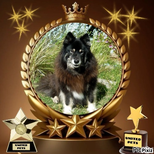 zoza1958 uploaded   6  day/s  ago