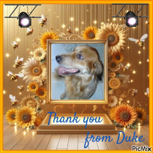 zoza1958 uploaded   80  day/s  ago