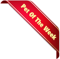 Gripette of the family bbct549