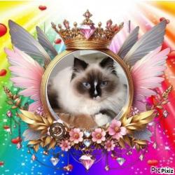 Kidlaine Kwaeola Of Karava