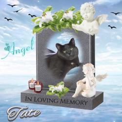 Tate (CuppycakeLover)