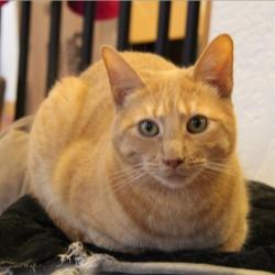 Jax (Jax) Jax's Life - Part 3, 2021-2025