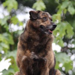 Zoey (Jax) Zoey (Jax)