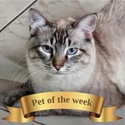 Jack (Kevin) Jack (Kevin)