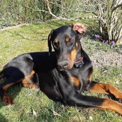 Valle-lee (Rangoon) Valle-lee (Rangoon)