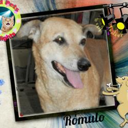 RÃ³mulo