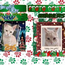 Persik (Shahorik) Persik (Shahorik)