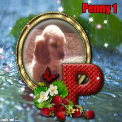 Penny 1 (WayneShead)