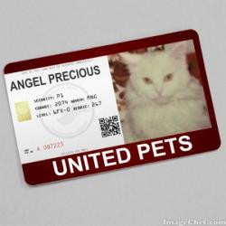 Precious (WayneShead)