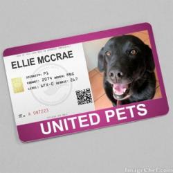 Ellie Mccrae (WayneShead)