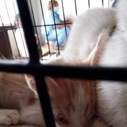 Baby Ming Ming (animallover)