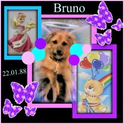 Bruno