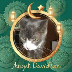 Angel Davidson