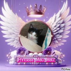 Princess Mau Mau
