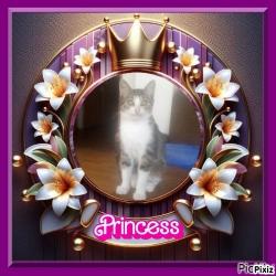 Princess Gricka