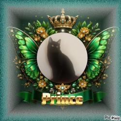 Prince Figaro