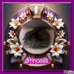 Princess Cicka