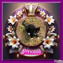 Princess Fifi